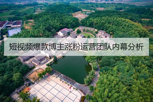 短视频爆款博主涨粉运营团队内幕分析